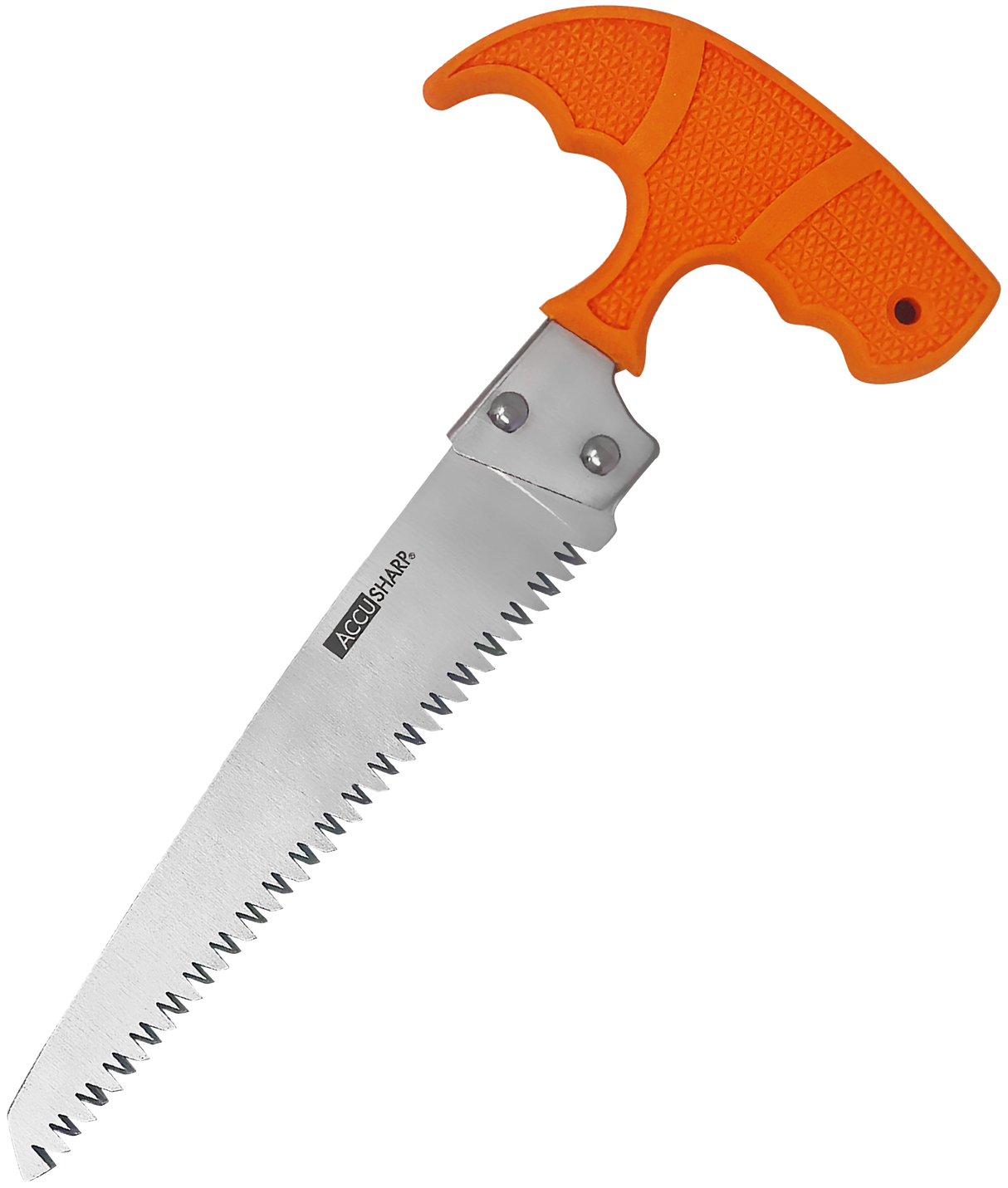 AccuSharp 730C Bone SawFixed Saw 6" Stainless Steel Blade/ Blaze Orange T-Shaped Handle