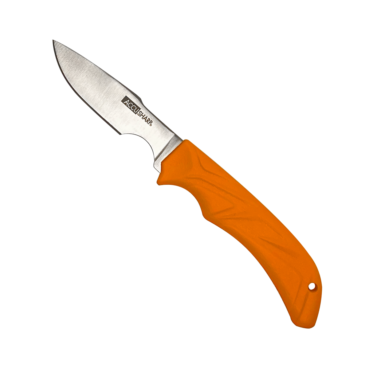 AccuSharp 731C CapingFixed Caping 3.50" Stainless Steel Blade/Blaze Orange Ergonomic Anti-Slip Handle